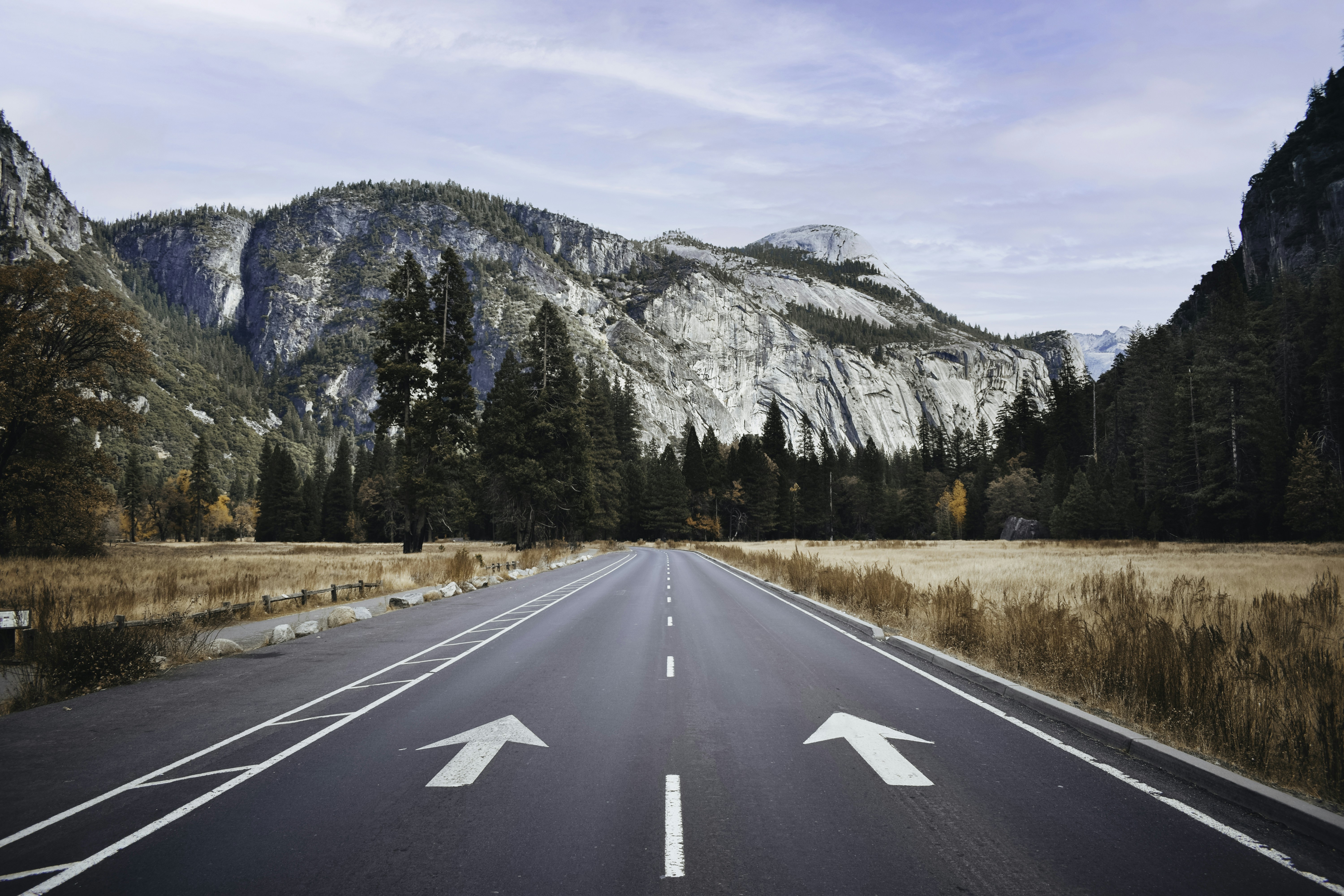 Financial Freedom Roadmap to Escape the 9-5 Life